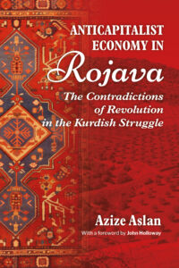 Anticapitalist Economy in Rojava